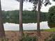 Picturesque lake view from the backyard with bench seating between trees, creating a peaceful outdoor setting at 2435 Northlake Ct, Atlanta, GA 30345