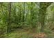 Heavily wooded backyard featuring a multitude of trees, bushes and ground cover at 965 Heards Ferry Rd, Sandy Springs, GA 30328
