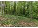 Overgrown backyard featuring a multitude of trees, bushes and dead leaves at 965 Heards Ferry Rd, Sandy Springs, GA 30328