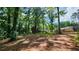Large backyard with mature trees providing plenty of shade at 766 Virginia Cir, Forest Park, GA 30297