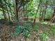 A view of the wooded backyard at 5390 Regency Lake Court, Sugar Hill, GA 30518