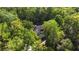 Aerial view of the white home surrounded by beautiful, dense trees at 6305 River Chase Cir, Atlanta, GA 30328
