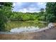 Scenic view of a pond lined with lush trees and geese on the water, providing a serene natural setting at 3999 Bayside Cir, Doraville, GA 30340
