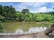 Scenic pond surrounded by lush greenery, with a charming gathering of ducks adding to the tranquil ambiance at 3999 Bayside Cir, Doraville, GA 30340
