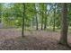 Spacious backyard with mature trees and lush greenery at 220 Chinkapin Sw Cir, South Fulton, GA 30311