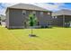 Large, well-maintained backyard with a newly planted tree, offering ample green space at 1612 Fuma Leaf Way, Mcdonough, GA 30253