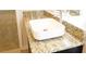 Bathroom vanity showcasing a large, white vessel sink and granite countertop at 1612 Fuma Leaf Way, Mcdonough, GA 30253