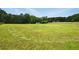 A grassy field shows the expansive property with mature trees at 891 Wooten Ct, Canton, GA 30114