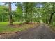 Gravel driveway leading up to the home surrounded by beautiful mature trees at 1267 Austin Bridge Rd, Douglasville, GA 30134