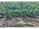 Private backyard offers tranquil natural scenery with lush foliage and mature trees at 2008 Hailston Dr, Duluth, GA 30097