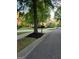 Street view of a neighborhood with manicured lawns and mature trees at 6205 Arnall Nw Ct, Acworth, GA 30101