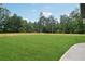 Expansive backyard featuring lush green grass and a newly installed wooden fence for privacy at 4539 Braselton Hwy, Hoschton, GA 30548