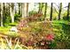 Secluded backyard area with a bench and blooming azalea bushes, surrounded by mature trees at 5152 Suggs St, Powder Springs, GA 30127