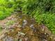 A small creek running through the property, featuring lush vegetation and natural beauty at 7250 Hunters Branch Dr, Atlanta, GA 30328