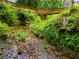 A scenic creek flowing beneath a wooden bridge, surrounded by lush ferns and greenery at 7250 Hunters Branch Dr, Atlanta, GA 30328