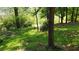 Lush backyard featuring mature trees with green moss-covered ground at 1425 Parkmont Dr, Roswell, GA 30076