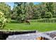 Beautiful horse grazes in a lush green fenced pasture surrounded by mature trees and partial view of weathered wooden fencing at 206 Savanna Estates Ct, Canton, GA 30115