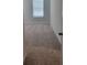 Bedroom featuring a window with plush carpet flooring at 558 Fairview Oak Pl, Dallas, GA 30157