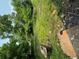 Overgrown backyard with trash and trees at 1934 Apache Se Trl, Atlanta, GA 30316