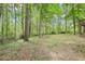 Secluded backyard offering a peaceful retreat with lots of trees at 6230 Lillie Ln, Cumming, GA 30040