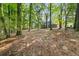 Large backyard with mature trees and room for activities at 135 Dunwick Ln, Mcdonough, GA 30253