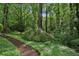 Lush landscaping with mature trees creating a serene and private outdoor space at 1215 Vista Leaf Dr, Decatur, GA 30033