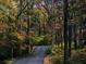 A driveway winds through a forest of mature trees in autumn at 286 Hilton Way Way, Canton, GA 30114