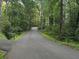 Long private driveway leading to the property surrounded by mature trees at 286 Hilton Way Way, Canton, GA 30114