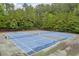 Well-maintained community tennis courts surrounded by lush greenery, perfect for a match at 4092 Arabian Way, Snellville, GA 30039