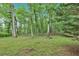 A spacious backyard is surrounded by mature trees and a wooden fence at 5804 Fairwood Nw Cir, Acworth, GA 30101