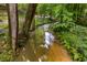 A tranquil creek flowing through a wooded area, surrounded by lush green vegetation and mature trees at 1461 Bubbling Creek Ne Rd, Brookhaven, GA 30319