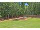 Spacious backyard with a lush lawn, tall trees, and a charming fire pit area, ideal for outdoor gatherings at 33 Vinery Ct, Sharpsburg, GA 30277