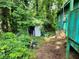 Overgrown backyard with storage shed and lush vegetation with a partial view of the blue house exterior at 53 Elm St, Hampton, GA 30228