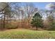 Spacious backyard with healthy lawn, mature trees, and natural wooded area at 247 Mandy Ct, Mcdonough, GA 30252