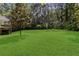 Large, beautiful backyard bordered by mature trees at 6 Water View Dr, Stockbridge, GA 30281