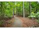 Nature trail and walking path that provides a scenic and tranquil route for outdoor exercise and relaxation at 1604 Falcon Ct, Locust Grove, GA 30248