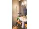 Charming powder room featuring modern sink and nature-inspired decor at 382 Winston Circle Cir, Canton, GA 30114