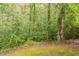 A peaceful backyard view shows lush green trees surrounding the property at 6114 Leverett Dr, Lithonia, GA 30038