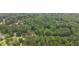 Aerial view of neighborhood with mature tree coverage and well-manicured lawns at 1880 Doefield St, Canton, GA 30115