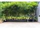 Beautiful backyard with potted plants and unique tree coverage, offering a tranquil outdoor space at 1880 Doefield St, Canton, GA 30115