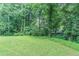 Spacious backyard surrounded by lush greenery and mature trees at 2140 Deer Trl, Suwanee, GA 30024