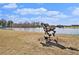 A whimsical horse sculpture on the pond adds charm to the community's natural beauty at 165 Breakspear Ln, Fayetteville, GA 30214