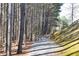 Gravel walking trail surrounded by mature trees and lush greenery at 185 Bellehaven Dr, Woodstock, GA 30188
