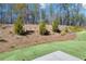 Landscaped backyard with a terraced slope, young trees, and green grass at 189 Park Ln, Fairburn, GA 30213