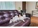Living Room features a cute dog relaxing on a leather couch, next to an entry door at 3408 Chestnut Dr, Doraville, GA 30340