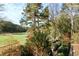 Scenic shot of the golf course with a pond, visible from a lush, landscaped vantage point at 8710 Mount Rushmore Dr, Johns Creek, GA 30022