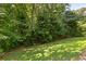 Lush backyard showcasing a well-maintained lawn and dense trees, offering privacy and a natural setting at 931 Hidden Falls Se Ln, Smyrna, GA 30082