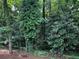 Lush trees and foliage fill the backyard, offering a secluded nature-filled outdoor experience at 2436 Glenrock Dr, Decatur, GA 30032
