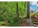 Lush backyard featuring stairs, plants, and creek for ultimate privacy and natural beauty at 1916 River Birch Ln, Atlanta, GA 30316