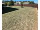 Large grassy backyard with partial fencing, a mature tree, and lush greenery for a private outdoor space at 2030 Hydrangea Ln, Austell, GA 30106